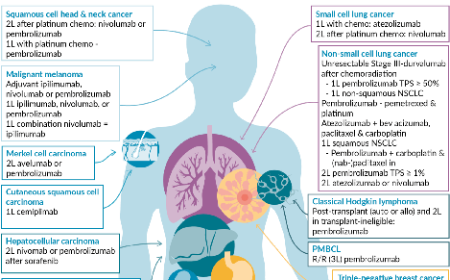 Raiders of the lost art: finding immuno-oncology treasure