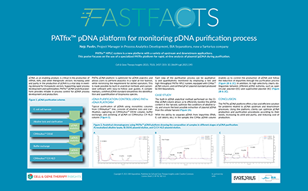 PATfix™ pDNA platform for monitoring pDNA purification process