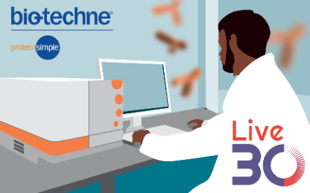 Achieving robust fit-for-purpose analytical workflows that streamline cell and gene therapy development