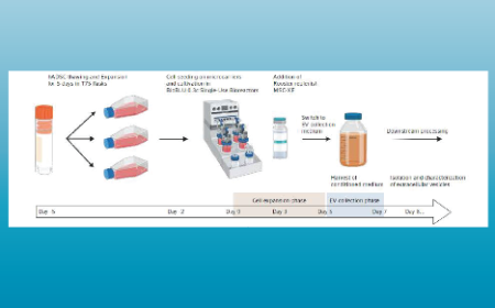 Scaling-up the production of stem cell-derived extracellular vesicles in stirred-tank bioreactors