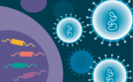 A scalable lentiviral vector production system based on stable producer cell lines 