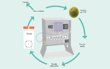 Possibilities for continuous closed-system processing of cell therapies