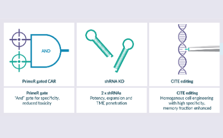 Strategic partnering to enable cell therapy commercialization