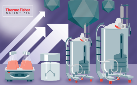 Scalable production of AAV from shake flasks to 1,000 L single use bioreactors using the Gibco™ CTS™ AAV-MAX Production System