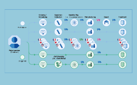 Success strategies for cell and gene therapy 3.0