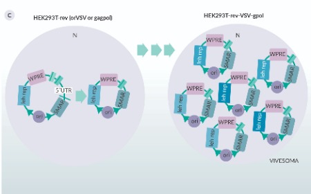 Lentiviral vectors: key challenges and new developments