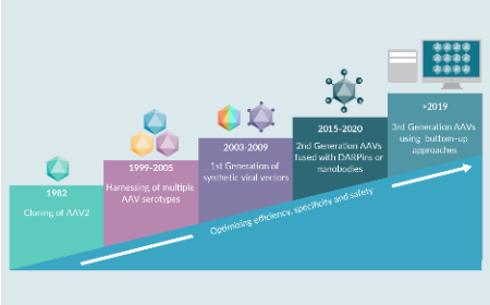 The dose makes the poison: next generation AAV vectors can save the day