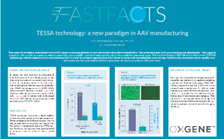 TESSA technology: a new paradigm in AAV manufacturing
