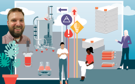 Improving the yield of rAAV manufacturing with HeLa producer cells lines to ensure patient access