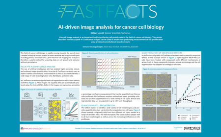 AI-driven image analysis for cancer cell biology