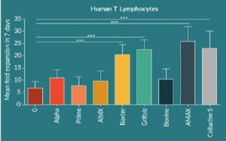 Utilization of Recombinant Albumins in the Expansion of Human T Lymphocytes