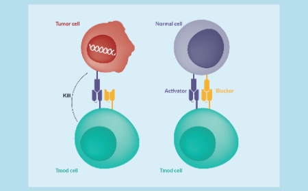 The end of an era of cancer drug discovery: life without new drug targets