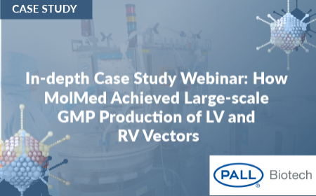  In-depth case study webinar: how MolMed achieved large-scale GMP production of LV and RV Vectors