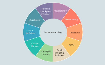 Expanding the reach of immuno-oncology: considerations for optimizing treatment of solid malignancies in the future