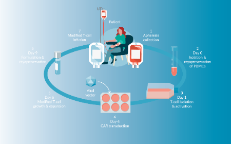 Cost analysis of vein-to-vein CAR T-cell therapy: automated manufacturing and supply chain