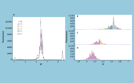 Analytical toolkit for rapid formulation development of rAAV gene therapies