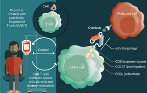 Strategies to Control CAR-T Cell Therapy: Perspective on  Next-Generation CARs