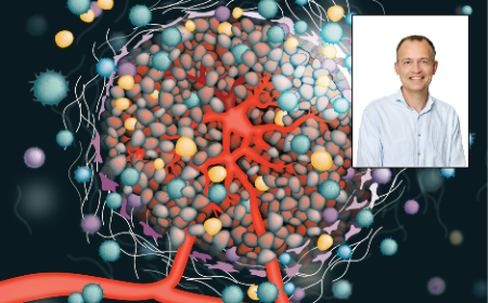 Immune modulatory vaccines: the safe way to inflame the tumor microenvironment & guide anti-cancer immunotherapies