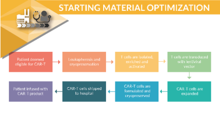Utilization of risk-based approach to characterize starting material for autologous CAR-T manufacturing