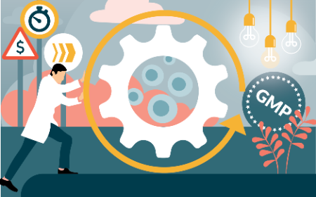 Cell therapy 101 (part 1)Challenges of early clinical development: a ‘thumbnail sketch’