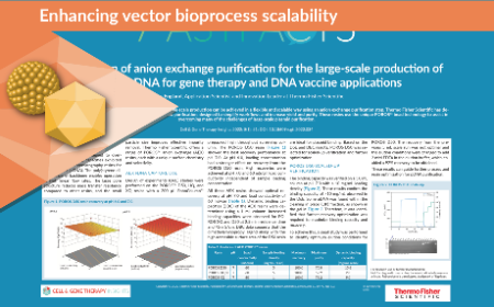 Optimization of anion exchange purification for the large-scale production of plasmid DNA for gene therapy and DNA vaccine applications