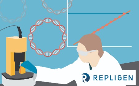 Accelerating analytical testing for GMP plasmid production