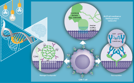 Alternative strategies for functionalizing CAR-T cells: engineering without genetic modification